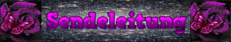 Sendeleitung